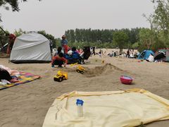 -东郊湿地公园