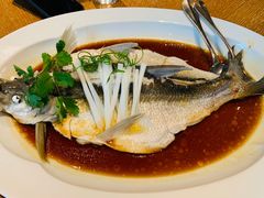 -宁波柏悦酒店·钱湖渔港