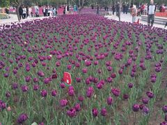 -长春公园(普阳街道)