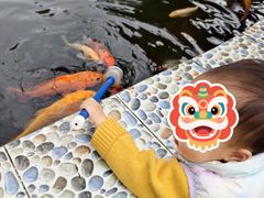 -南湖梦幻岛