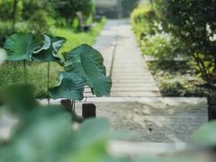 -花锦堂·隐庐