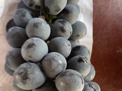 -马陆小张葡萄园农家乐