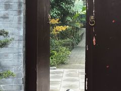 -天龙宝严素食馆(大兴善寺店)