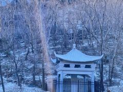 -白水寺森林公园