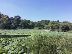 -承德避暑山庄景区