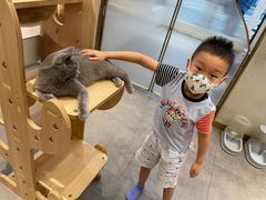 -飞行喵MR PILOT|猫舍·猫咖(静安大融城店)
