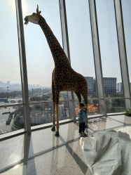 -IMON·HANSA潮玩玩偶毛绒玩具(通州万象汇店)