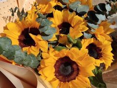 -爱月宝月嫂·育儿嫂(哈尔滨总店)