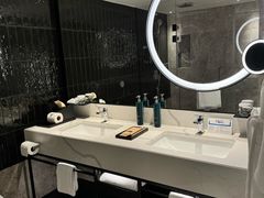 -新加坡乌节希尔顿酒店 (SG Clean)