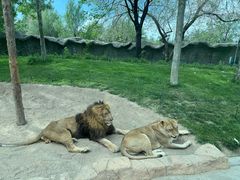 -北京野生动物园