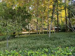 -徐家汇源景区-衡山公园