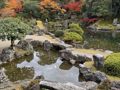 -醍醐寺