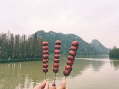 -星湖旅游景区七星岩