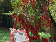 -广州白江湖森林公园