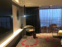 -南京禄口机场雅高铂尔曼大酒店