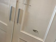 -上海棕榈滩海景酒店