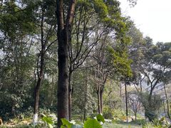 -成都市活水公园