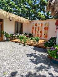 -DORA kids 朵拉儿童摄影花园店