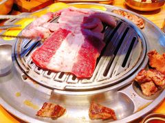-金顺韩式烤肉·网红烤肉店(广利路店)