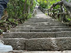 -梧桐山风景名胜区