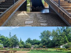 -桤木河湿地公园