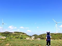 -齐岳山