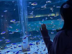 -海合安成都极地海洋公园