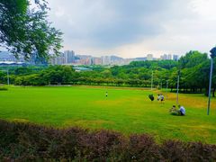 -紫马岭公园