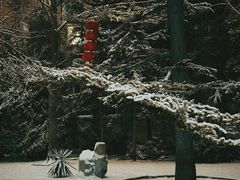 -团结湖公园