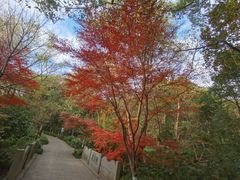 -杭州半山国家森林公园