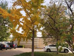 -中冶霄云中心-B座