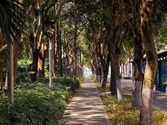 -深圳市人才园(深南大道店)