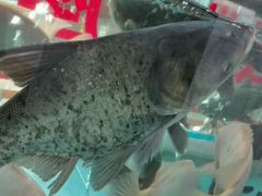 -合和美食馆(壹村东心岭2巷店)