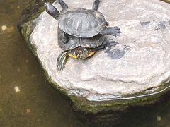 -嘉缤苑