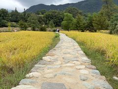 -塔川景区
