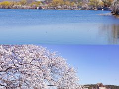 -颐和园