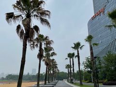 -金沙湖公园