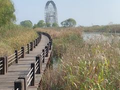 -苏州太湖湖滨国家湿地公园