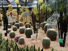 -南宫五洲植物乐园