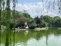 -成都动物园
