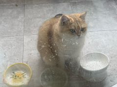 -全牛匠·乐山跷脚牛肉(西北旺万象汇店)