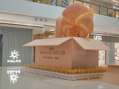 -合景·悠方(成都店)