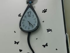 -中农国际动物医院24小时·猫科·骨科·急重症中心