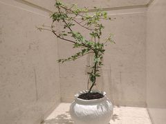 -北京长白山国际酒店(鸟巢店)