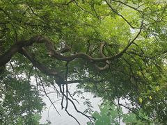 -广东温泉宾馆
