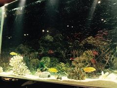 -泰谷酒店·太古码头闽菜自助餐厅