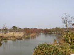 -上海长兴岛郊野公园