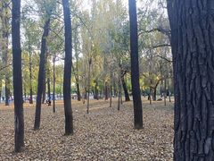 -二一九公园