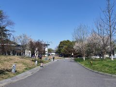 -西溪国家湿地公园