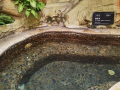 -海口观澜湖火山温泉谷